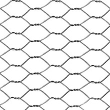 Hot dipped Galvanized Hexagonal mesh chicken wire mesh for plastering poultry wire netting